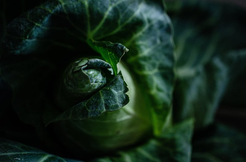 Exotic Ingredients